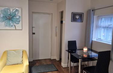 New 1 Bedroom Apartment in Central London - Foto 12