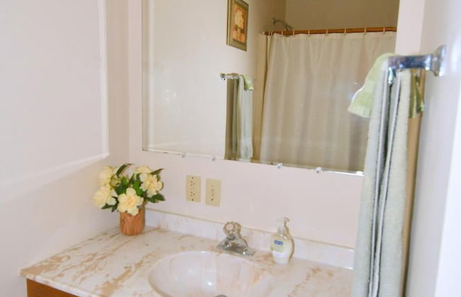 Dogwood Knoll - Wooded Escape - Foto 21