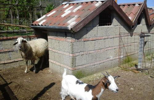 Agriturismo La Chiana - Foto 53