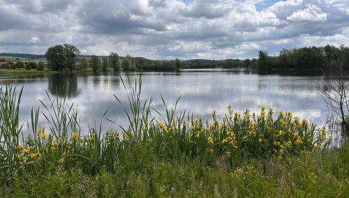 Seehäuschen - Foto 5