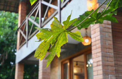 Estudio Lirios seu cantinho ecológico na natureza - Foto 33