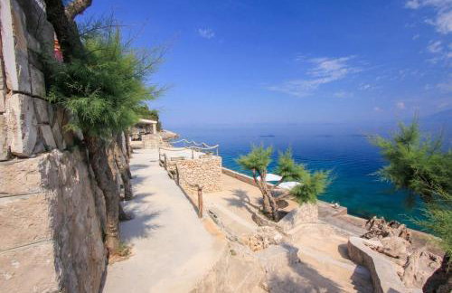 Robinson Merlot - Foto 13