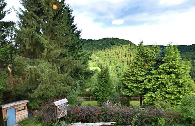 Gruppen- Ferienhaus in Wieda - Photo 38