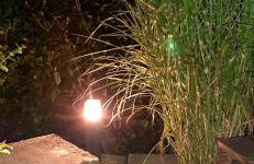 Ferienwohnung Auszeit - Foto 33