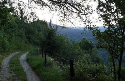 Apartament SIAT - Foto 35