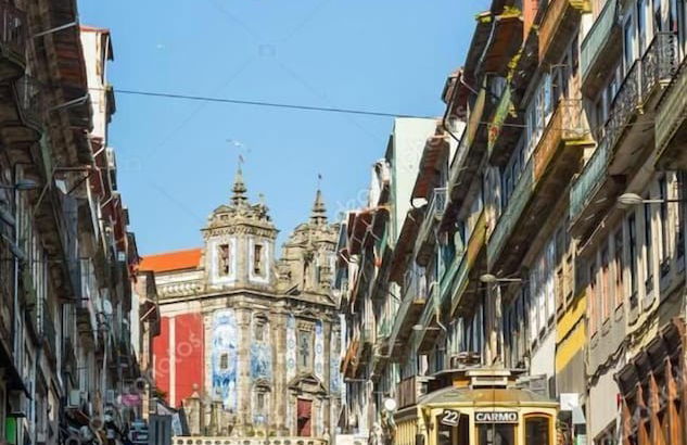 Olive Nature - Foto 36