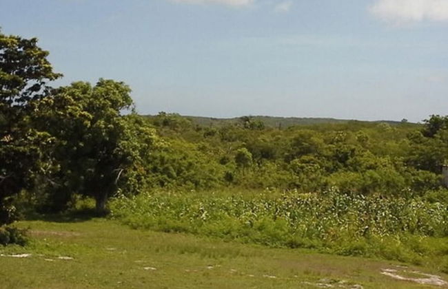 Orange Creek Inn - Foto 20