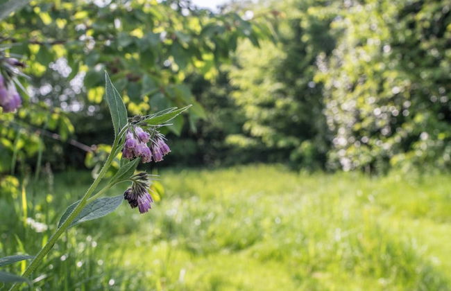 Grange Du 19eme Avec Wellness - Foto 22