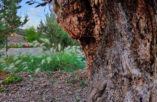 Casa Horizon - Foto 44