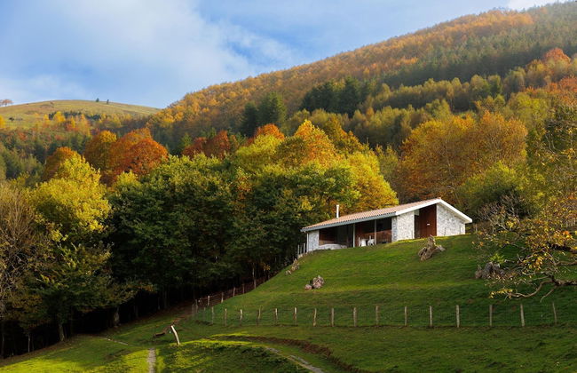 Cabañas Deluxe Basajaun Basoa by IrriSarri Land - Foto 16