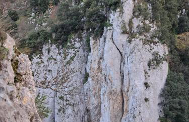 Giardino San Gerardo Maiella vista Castello e con parcheggio interno privato - Foto 80