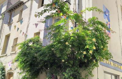 le balcon de Saint Roch - Foto 17