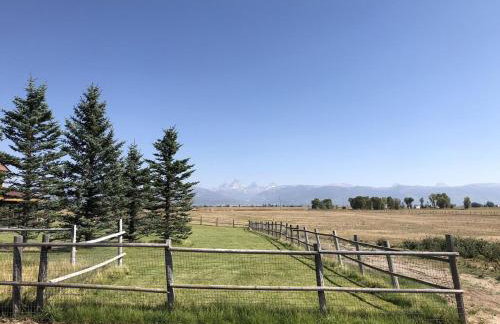 Cozy Cache Vista Tiny House with Summer Rates - Foto 1