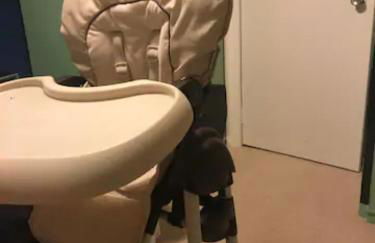 Home Comforts in Peaceful 2 Acres - Photo 49