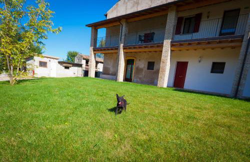 Agriturismo con Cucina tipica Nuova Scardua - Foto 33