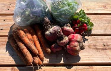 Tiny home on an organic croft, Isle of Arran - Photo 8