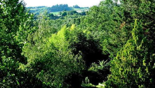 La Francigena - Foto 5, Garden, Garden view