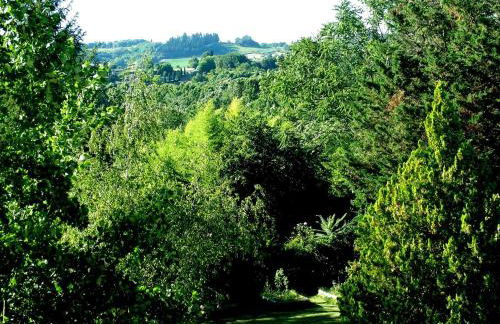 La Francigena - Foto 5