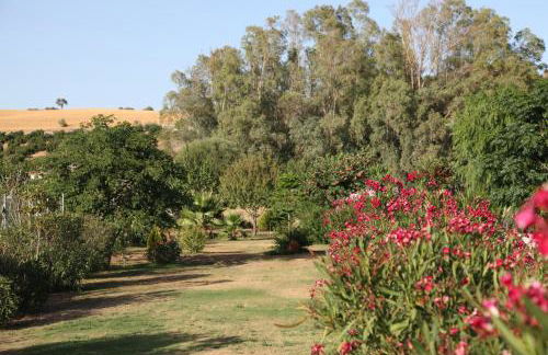 The Dragonfly Retreat - Photo 42