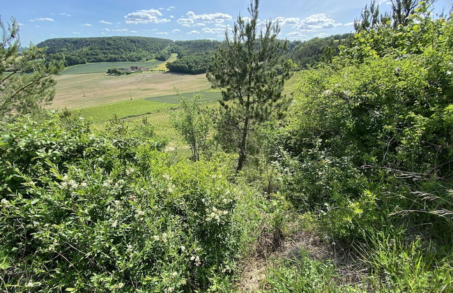 Boutique Holiday Home in Bouix With Garden - Foto 54