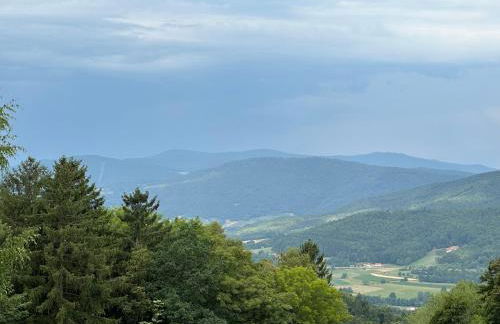 Uriges Apartment + Schönblick + mitten im Bayerischen Wald + WLAN kostenfrei - Foto 15