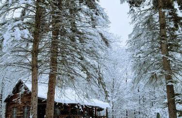 Deer Valley Retreat, Lovely Log Cabin with Fireplace & Garden Views- Perfect for a Relaxing Getaway! - Foto 48