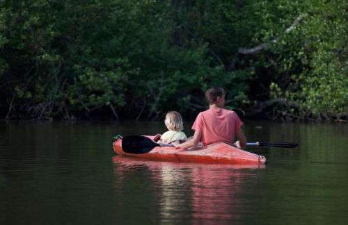 Maison Moulin Bousset - Foto 23