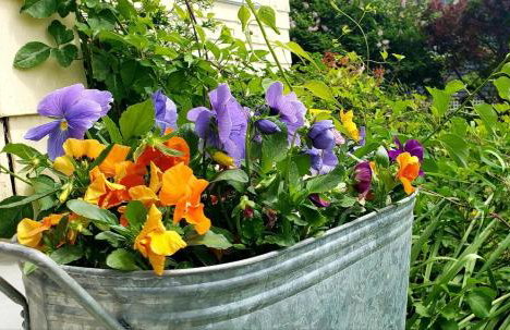 Enchanted Cottage 1 block to beach - Foto 10