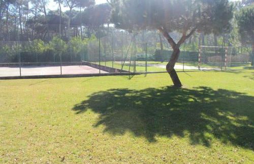 lirios home - Foto 14