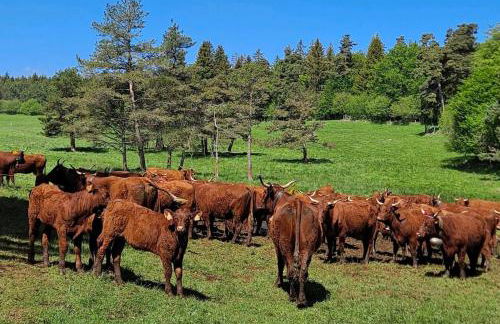 Nid cosy face à la Cathedrale - Foto 18