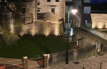 maison de ville dans le perche - Foto 34