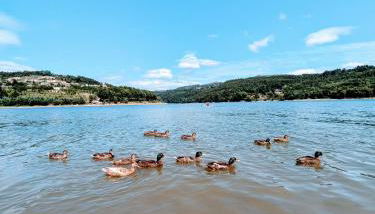 Casa de Travassos - Foto 3