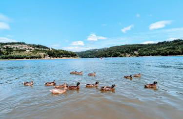 Casa de Travassos - Foto 3