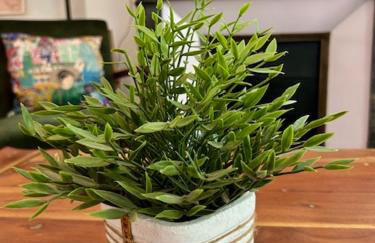 Tours - Grand appartement - centre ville parking gratuit - Foto 22