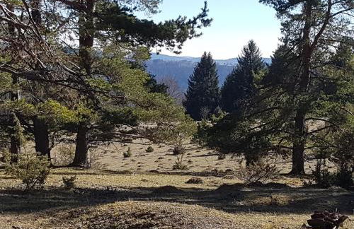 Sonnenhof, Ferienwohnung auf Reitanlage - Foto 44