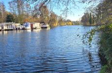 Waldpension Gussow - Foto 71