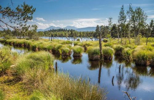 Bayerisches Refugium mit Sauna - Foto 59