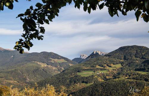 Residence Alpenrose - Foto 74