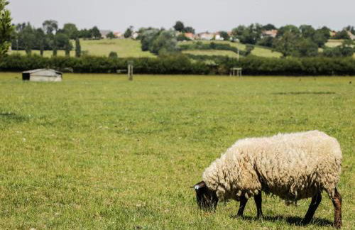 The Old Hayloft - Foto 21