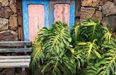 My Ocean - Cliff & Ocean View - Foto 35