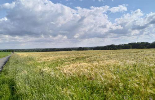 Casa alla Torre - Foto 23