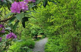 Ty Golchi - Cosy traditional cottage in Corris - Photo 23