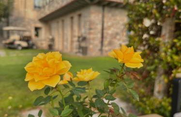 Holiday Home Sovenigo - Foto 24