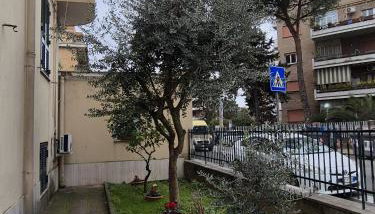 Olive tree's house - Photo 4