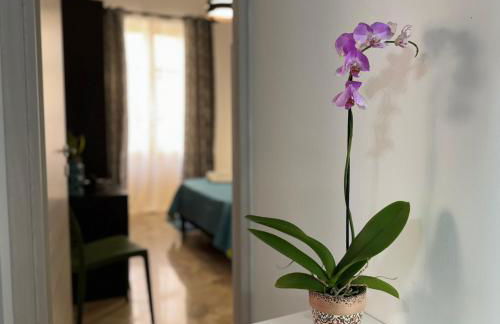 Beautiful Dimora Anna e Ciccio - Foto 60