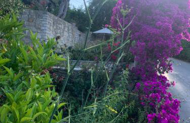 Harry's Studios - Photo 20