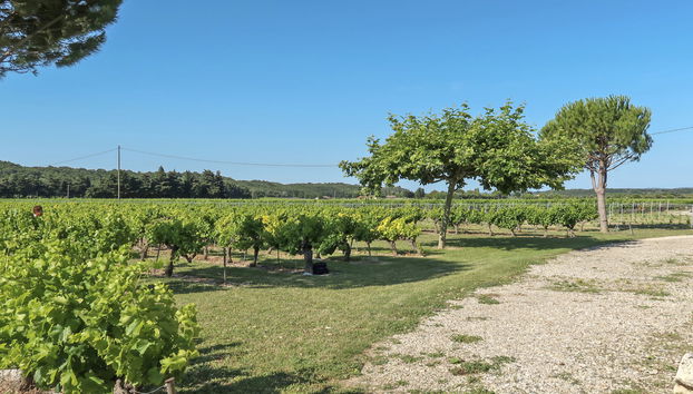 La Cardeline - Foto 5, View