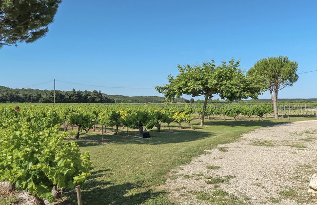 La Cardeline - Foto 5