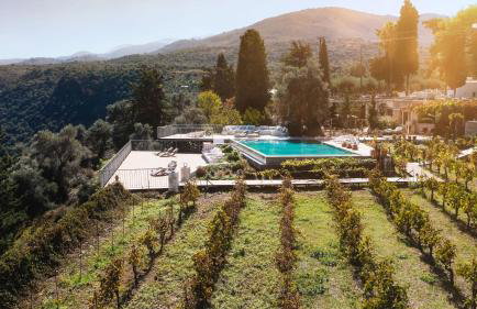 Nassibe Estate - Photo 74