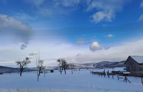 Cozy wooden house Robinia - Foto 5